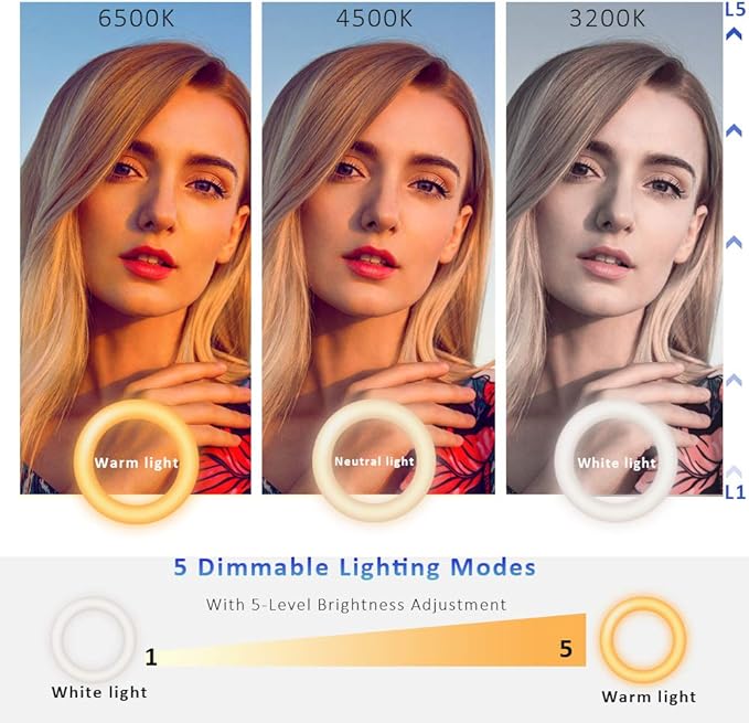Video Conference Lighting Kit, Ring Light