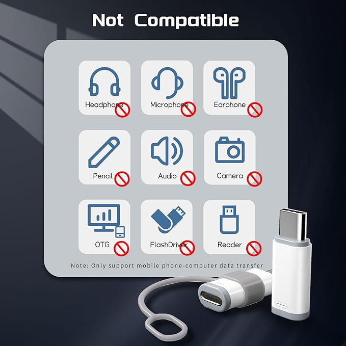 4 Pack Lightning to USB C Adapter