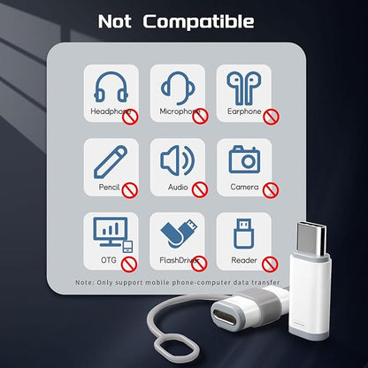 4 Pack Lightning to USB C Adapter