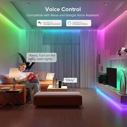 WiFi RGB IC LED Controller DR03W, Control by Smart Life/Tuya APP/Alexa/Google