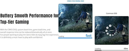 KLEVV CRAS C910 500GB M.2 2280 NVMe PCIe Gen4x4 Laptop & Desktop Internal SSD