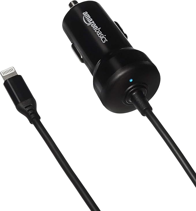 Amazon Basics 12W Car Charger
