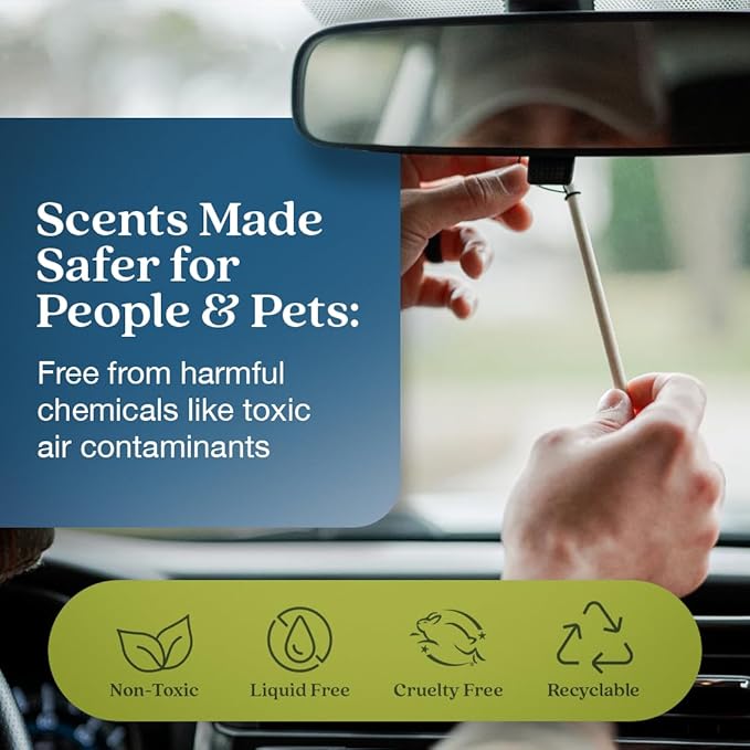 Enviroscent Non-Toxic Car Air Freshener Natural Car Air Freshener | Essential