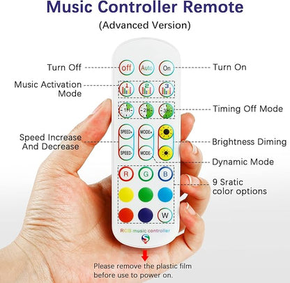RGBZONE 2.4GHz WiFi LED Controller, IR Wireless Remote Control, 2-Ports Smart
