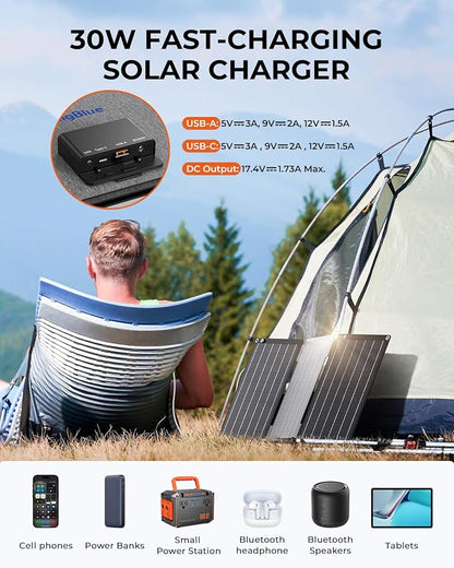 BigBlue 30W Solar Panel Charger