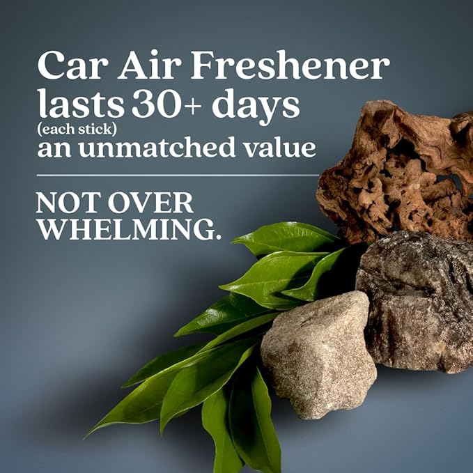 Enviroscent Non-Toxic Car Air Freshener Natural Car Air Freshener | Essential