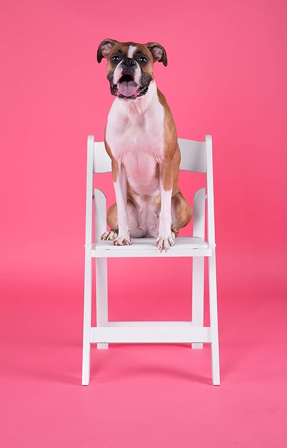 Flash Furniture Hercules™ Series Folding Chair - White Resin - 1000LB Weight Capacity Comfortable Event Chair - Light Weight Folding Chair