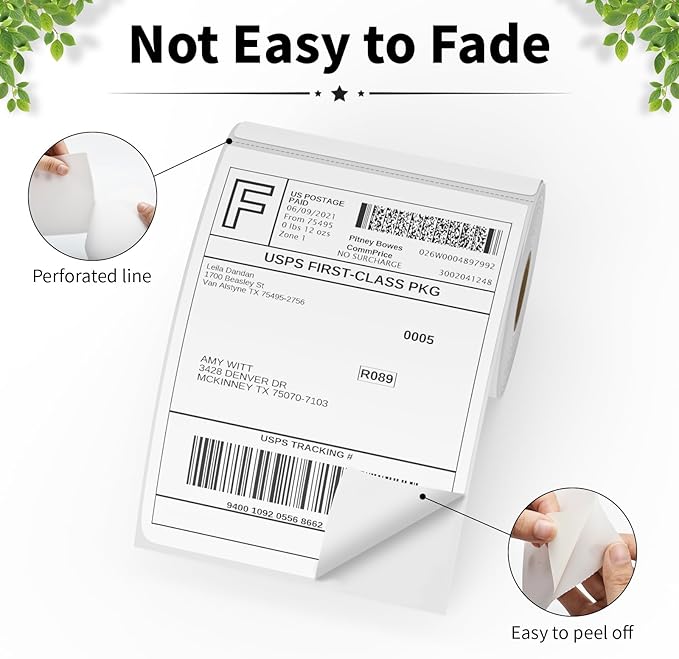 FungLam 4"X6" Thermal Shipping Labels, 4X6 Labels, Perforated, 250 Labels