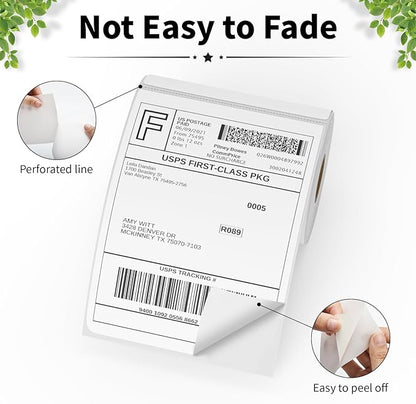 FungLam 4"X6" Thermal Shipping Labels, 4X6 Labels, Perforated, 250 Labels