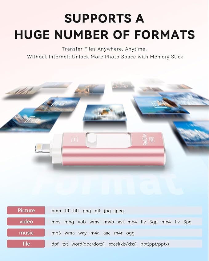 Apple MFi Certified 256GB Flash Drive