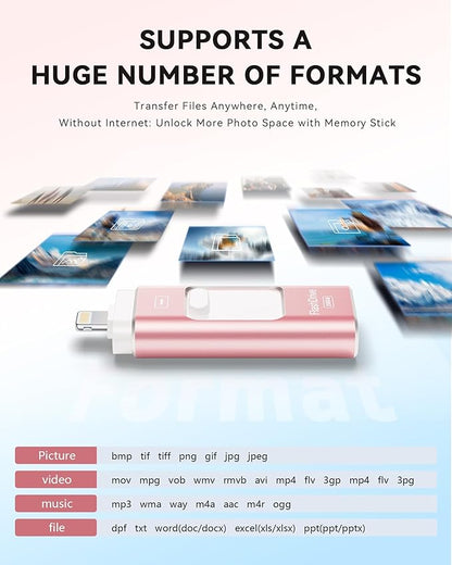 Apple MFi Certified 256GB Flash Drive