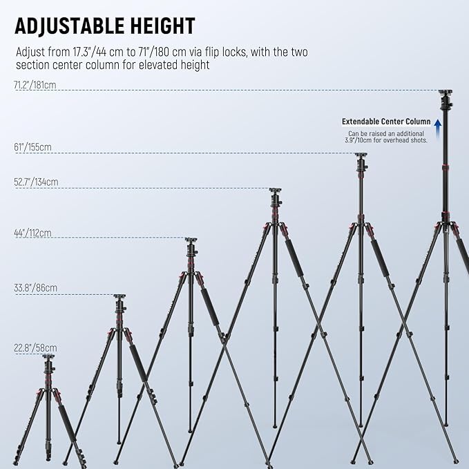 NEEWER Basics Camera Tripod Monopod