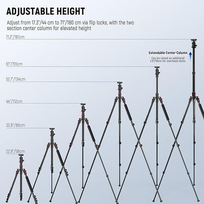 NEEWER Basics Camera Tripod Monopod