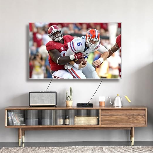 EMK 24K Gold-Plated Optical Audio Cable