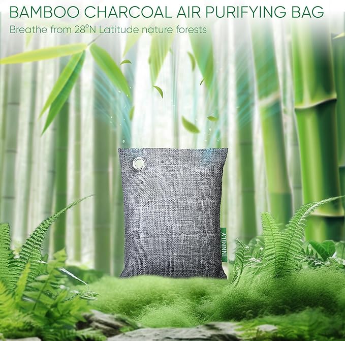 Activated Charcoal Odor Absorber, Odor Eliminator