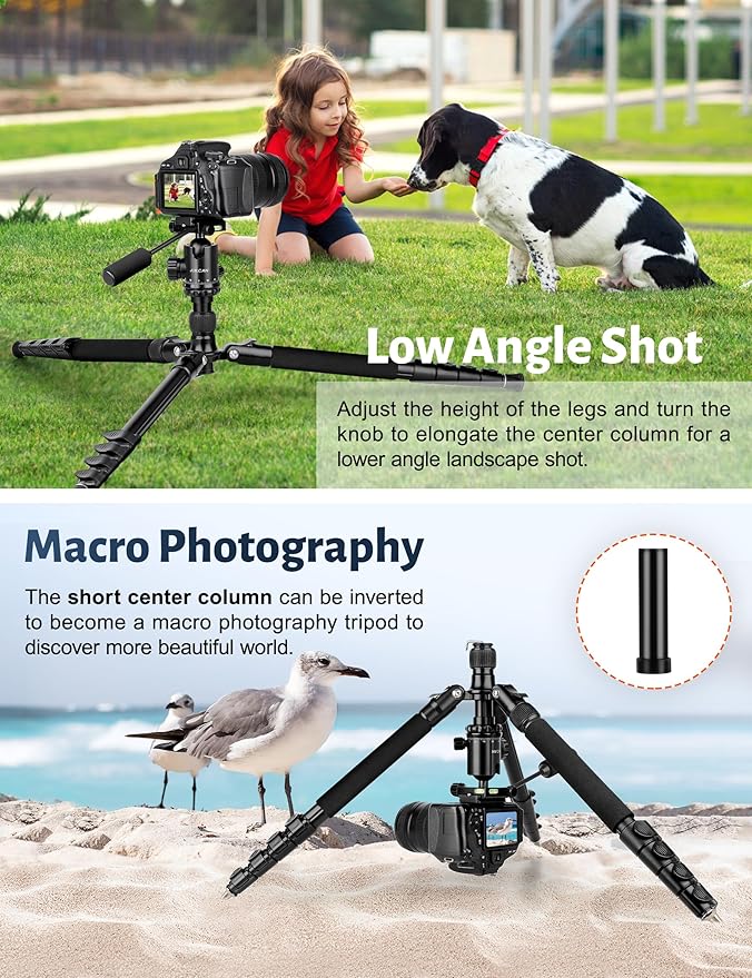 JOILCAN Camera Tripod, Heavy Duty Tripod